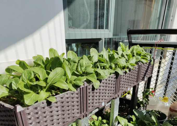 陽臺(tái)怎么裝修好看又實(shí)用