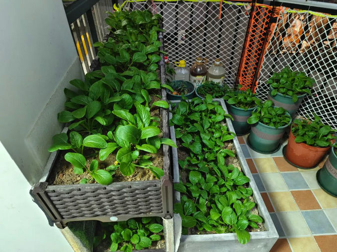 陽臺(tái)怎么裝修好看又實(shí)用