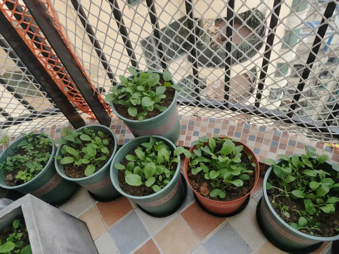 陽臺(tái)怎么裝修好看又實(shí)用