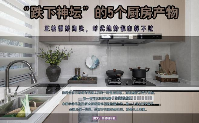 山水人家裝飾：“跌下神壇”的5個(gè)廚房產(chǎn)物，正被悄然淘汰，時(shí)代趨勢(shì)誰(shuí)也躲不過(guò)
