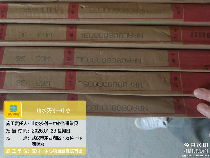 萬科翠湖隱秀工地巡檢2026.1.29